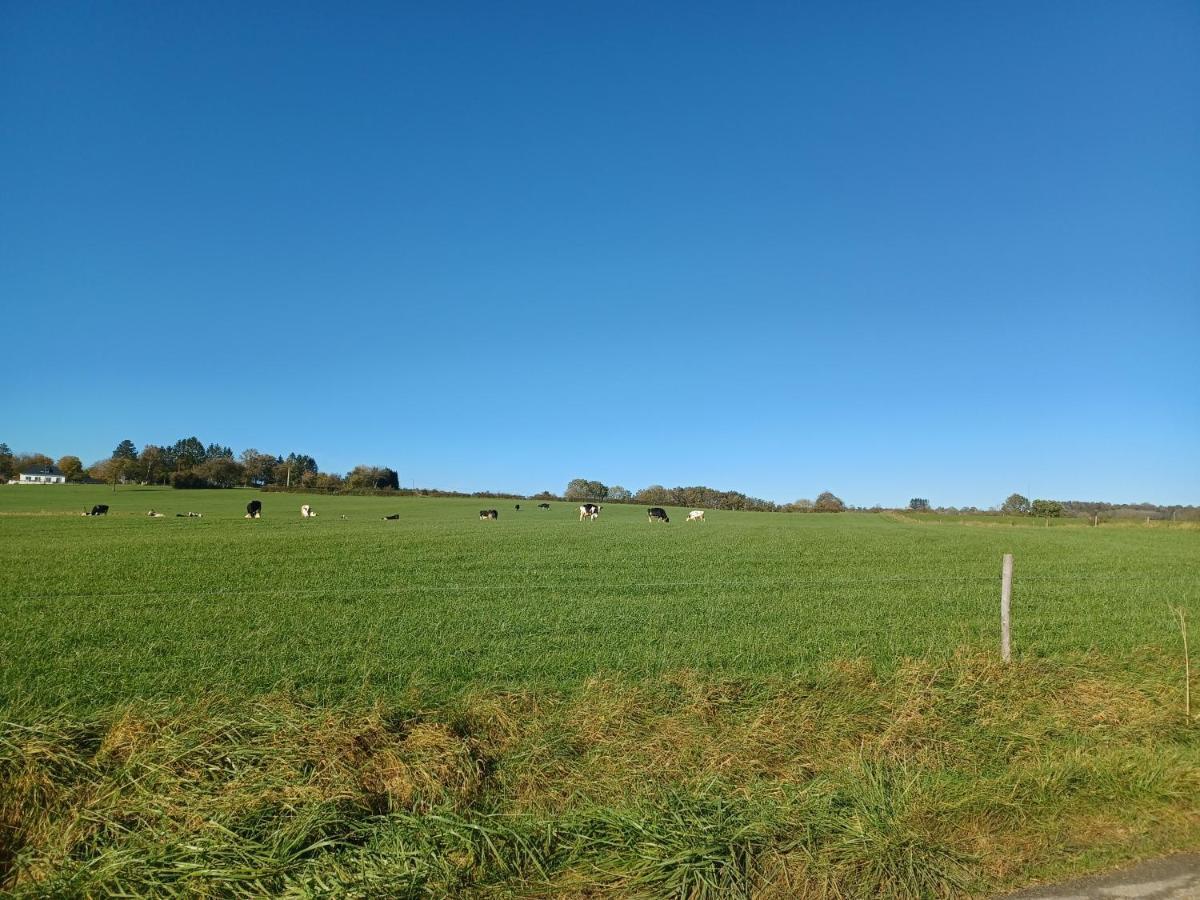 Le Poirier De Warre Villa Durbuy Buitenkant foto