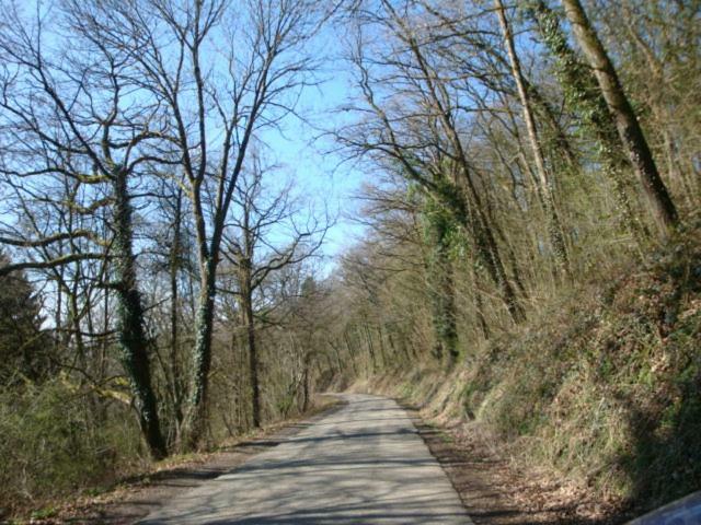Le Poirier De Warre Villa Durbuy Buitenkant foto